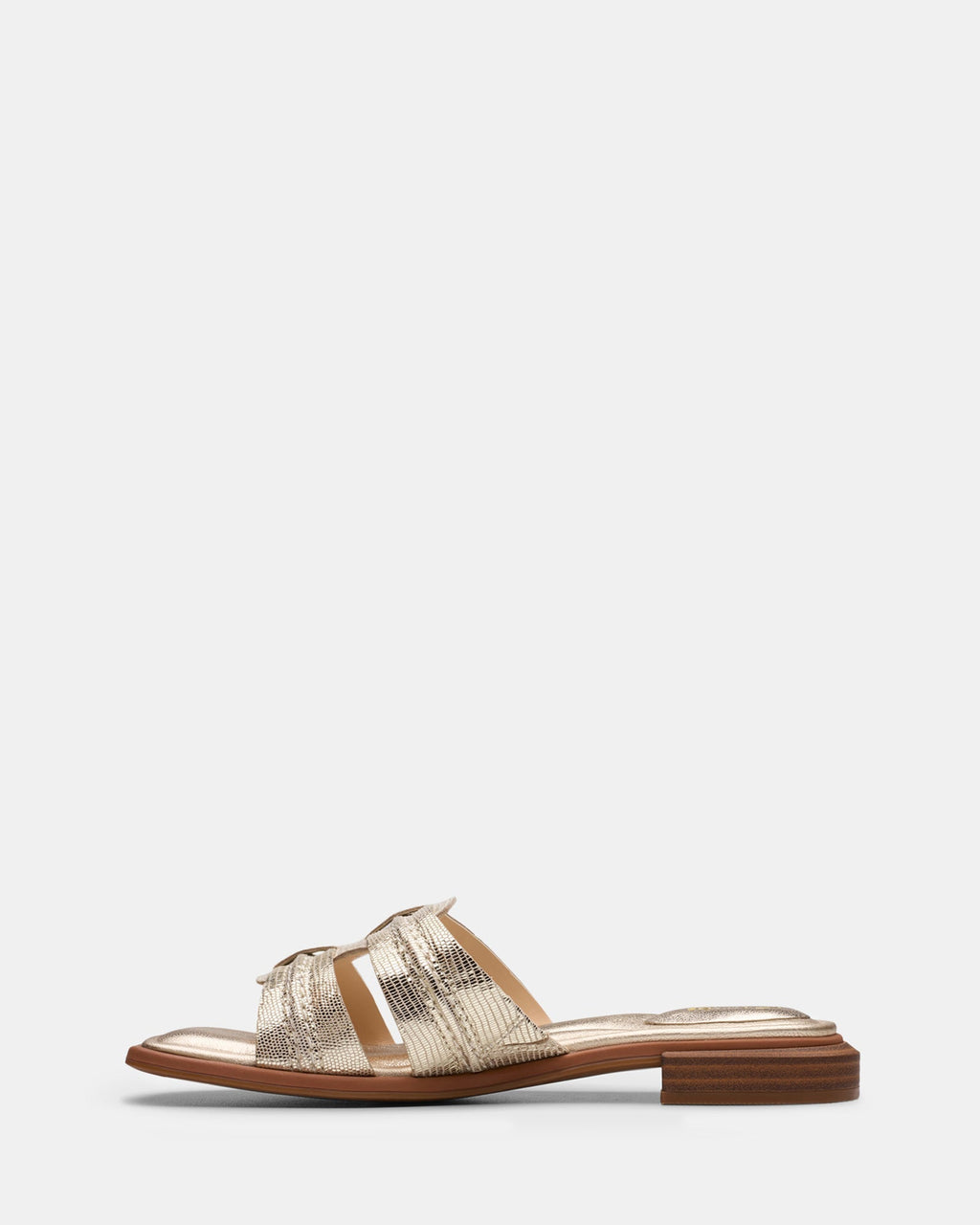 Ariany Mule Champagne Int