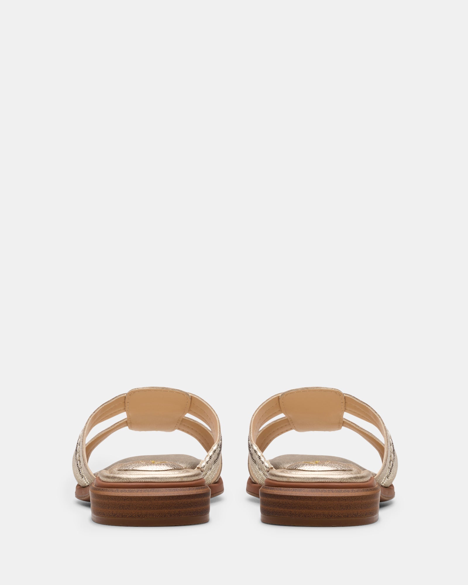 Ariany Mule Champagne Int
