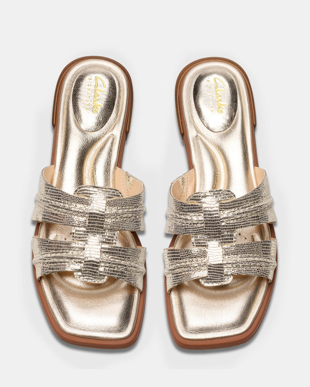 Ariany Mule Champagne Int