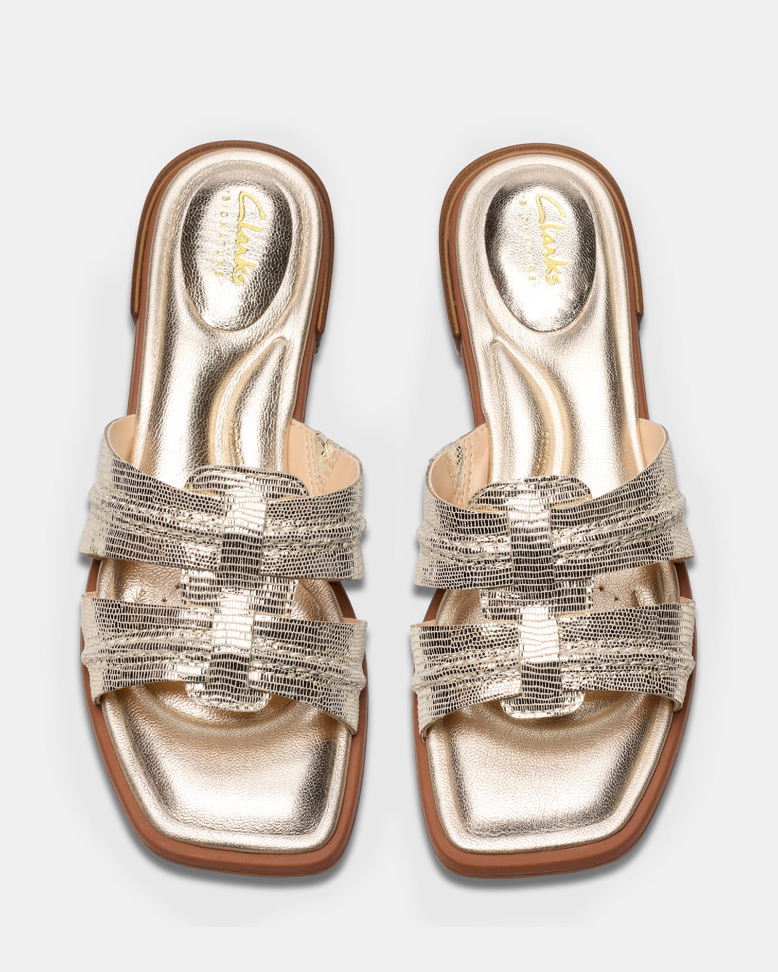 Ariany Mule Champagne Int